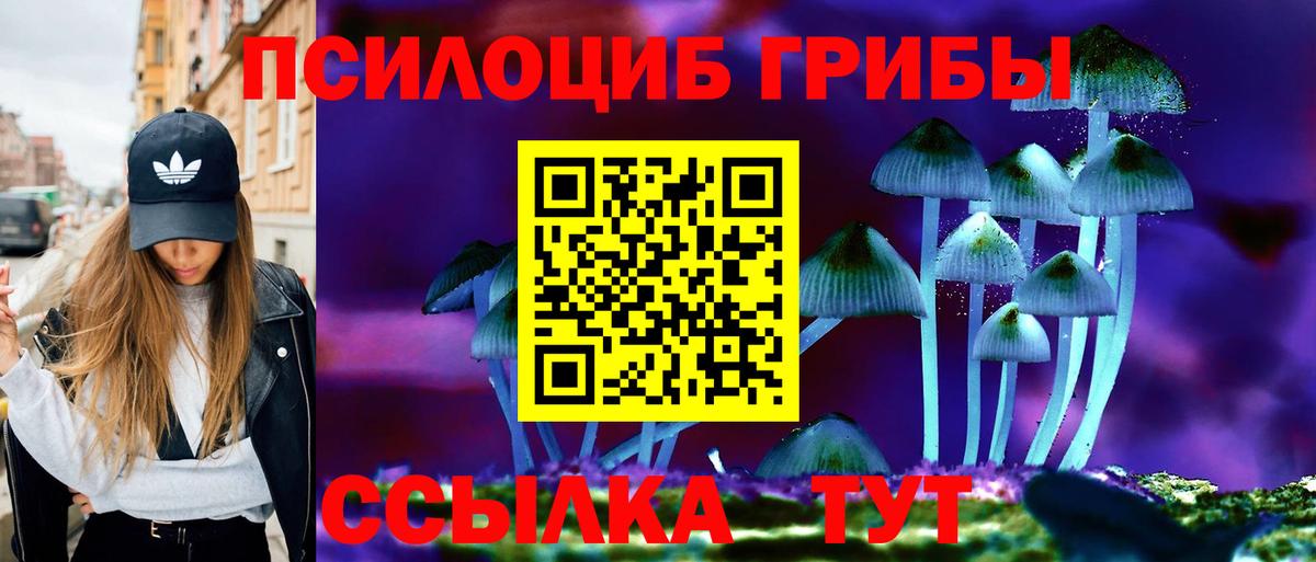 Галлюциногенные грибы прущие грибы Сергиев Посад