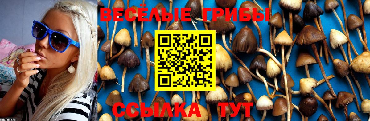 Сергиев Посад  Галлюциногенные грибы Psilocybe  Вход с VPN  Галлюциногенные грибы Psilocybine cubensis 